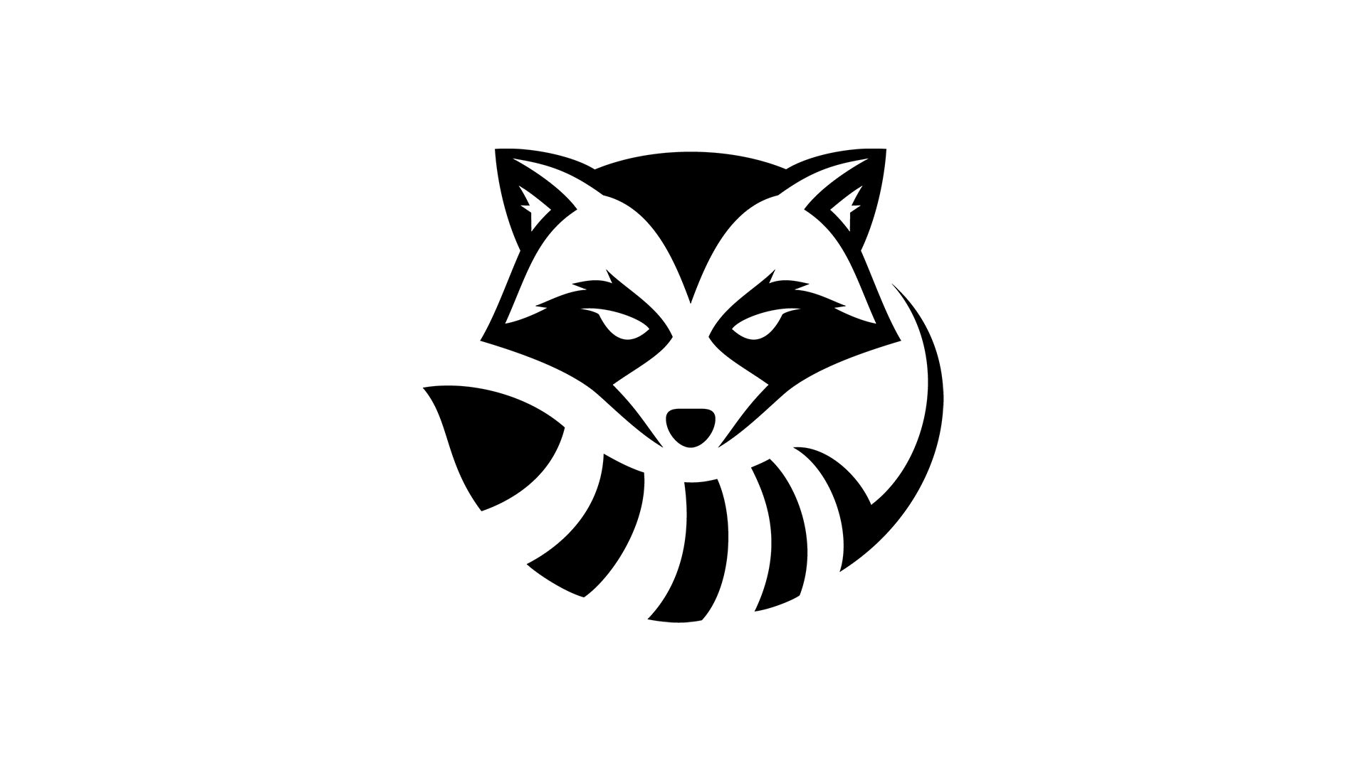 Raccoon